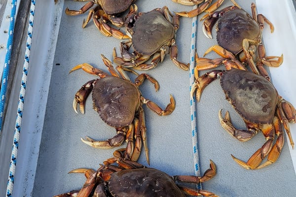 Fishing & Crabbing